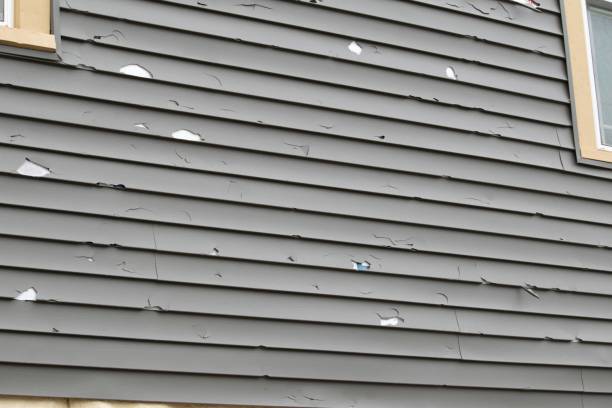 Best Property Management Cleanouts  in Gardner, MA