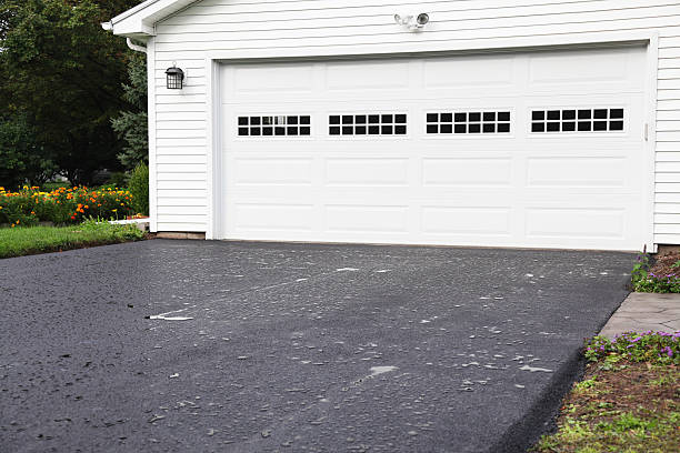 Best Shed Removal  in Gardner, MA